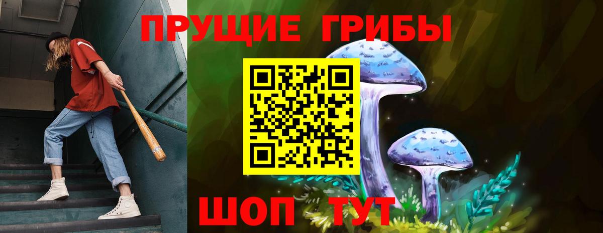 Татарск  Псилоцибиновые грибы Magic Shrooms  Псилоцибиновые грибы Cubensis  Вход с VPN 
